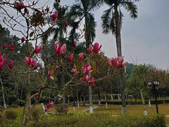 -广东外语外贸大学(白云山校区)