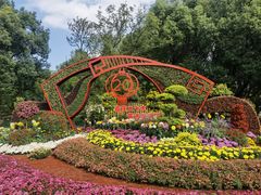 -上海共青森林公园