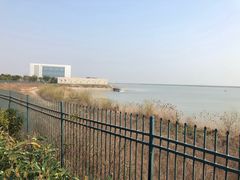 -江滩湿地公园