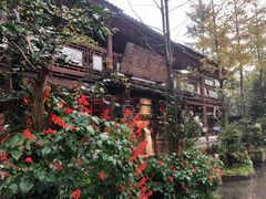 -青城甲(青城山店)