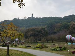 -苏州上方山国家森林公园