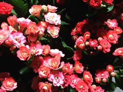 -中医药大学-第2食堂