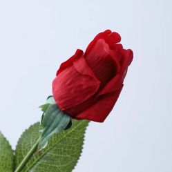 -小梨·OndaPro·专业脱毛连锁机构