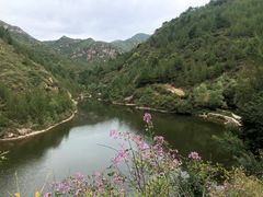 -仙居谷风景区