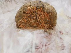 麦芽塌饼-仁昌顺(震泽店)