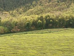 -敬亭山风景名胜区