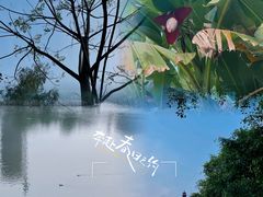 -华侨城湿地公园