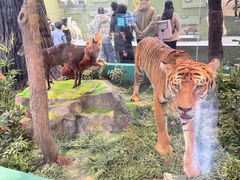 -国家自然博物馆