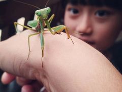 -三清山希尔顿度假酒店