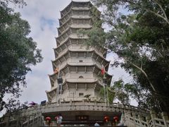 -深圳国际园林花卉博览园