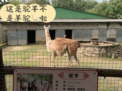 -西安秦岭野生动物园