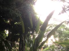 -龙达温泉生态城