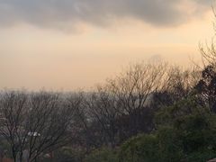 -上海佘山国家森林公园西佘山园