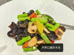 -南山酒肆(南山董事绘店)