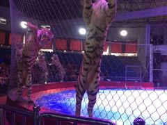 -西安秦岭野生动物园