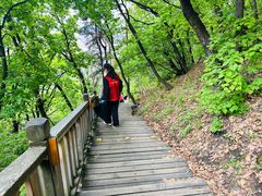 -帽儿山国家森林公园