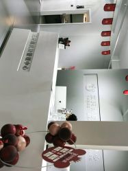 -三只熊皮肤管理中心旗舰店
