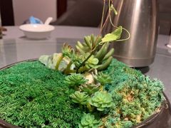 -碧丽宫大酒店(召稼楼店)