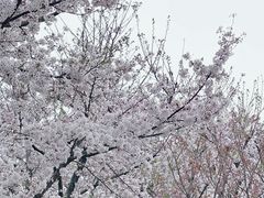 -龙美术馆(西岸馆)