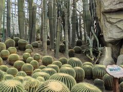 -南山植物园