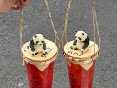 -吼堂老火锅(太古里总店)