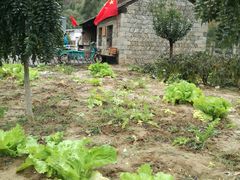 -梁家河村红色旅游区