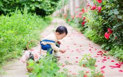 -首尔宝宝SEOUL  BABY STUDIO(通州店)