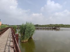-西青郊野公园