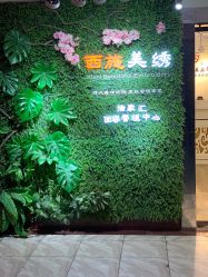 -西施无菌半永久纹绣眉眼影唇轻增发纹发际线