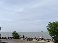 -上海滨江森林公园