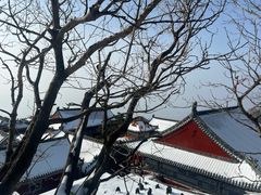 -泰山风景名胜区