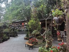 -青城甲(青城山店)