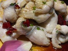 -龙泉小镇(科圣路店)