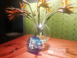 -奈瑞儿美颜美养SPA