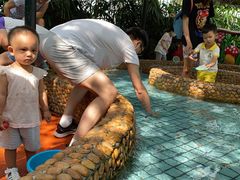 -东风公园