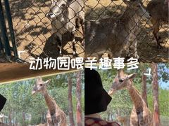 -大连森林动物园