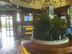 -润园四季椰子鸡火锅(海上世界店)