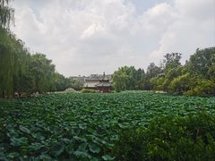 -莲池书院博物馆
