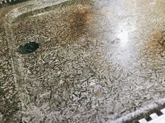 -韩阳王石板烤肉