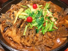 老板恋上鱼-老板恋上鱼(高新万达店)
