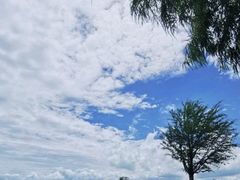 -捞渔河湿地公园