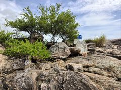 -碧桂园十里银滩