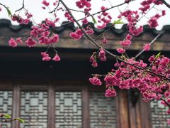 -乌山风景区