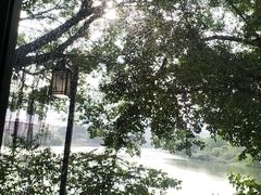 -阿伟海鲜楼·福建菜(涵江店)