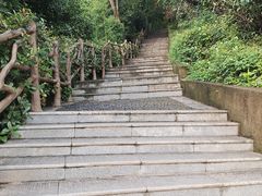 -牛背梁国家森林公园