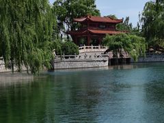 -百脉泉景区