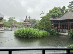 -顺峰山公园