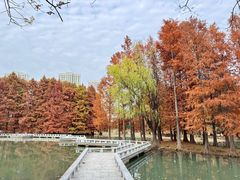 -白塘生态植物园