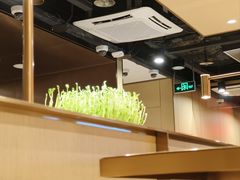 -海底捞火锅(南海万科广场店)
