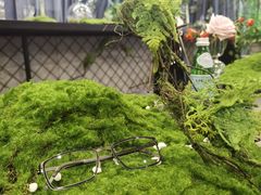 -大视光学•LINDBERG林德伯格•全球手工眼镜集合店(王府井店)